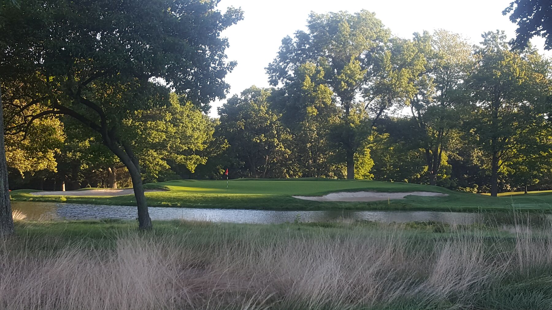 competitions-body-image